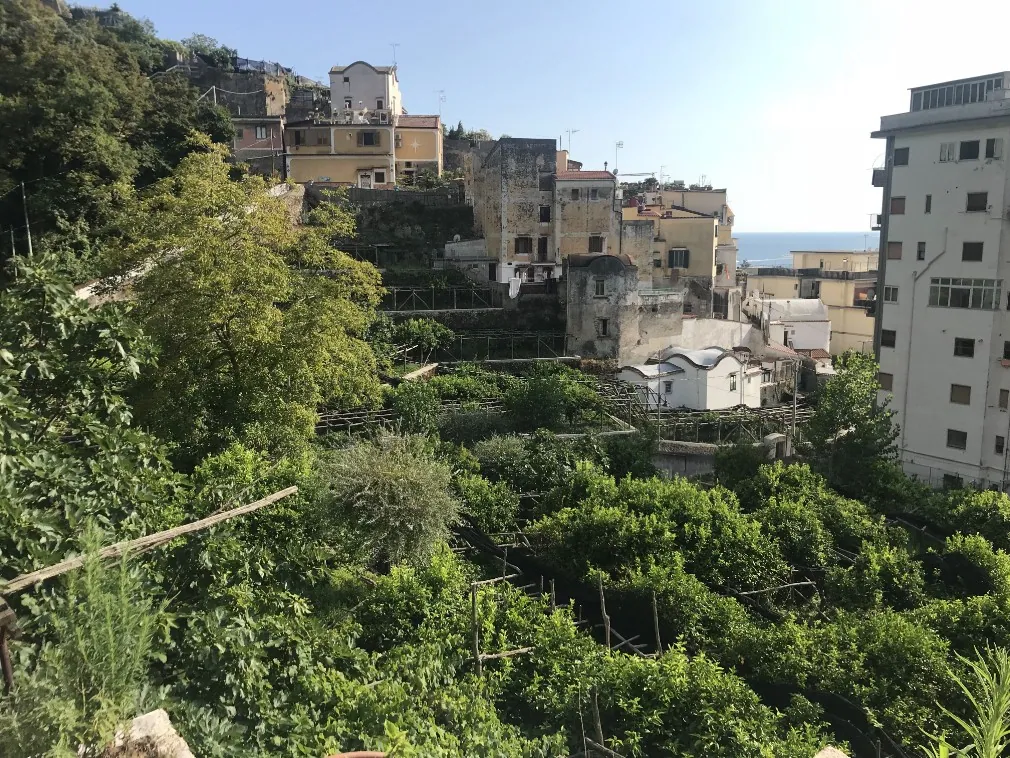 Maiori – Work in progress